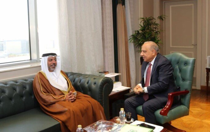 وزير الكهرباء: تعاون كبير مع الشركات الإماراتية في إطار الاستراتيجية الوطنية للطاقة