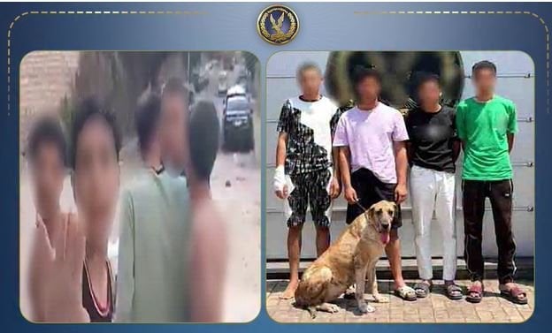 الداخلية تكشف ملابسات فيديو 4 عاطلين وكلب يعتدون على المارة بالإسكندرية