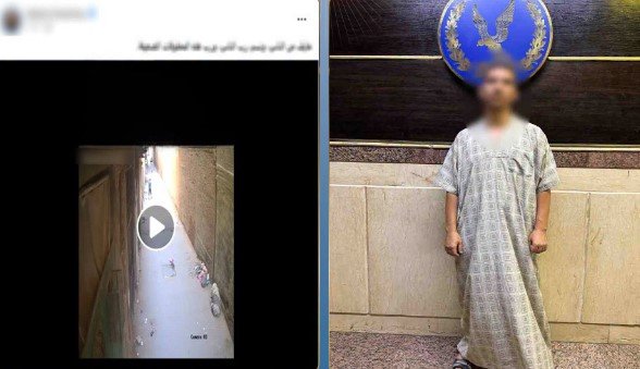 ضبط المتهم بالتعدي بالضرب على «كلب صغير» في البراجيل