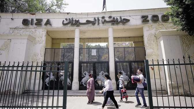 بعد تطويرها وتغيير اسمها.. موعد افتتاح حديقة الحيوان بالجيزة 2026