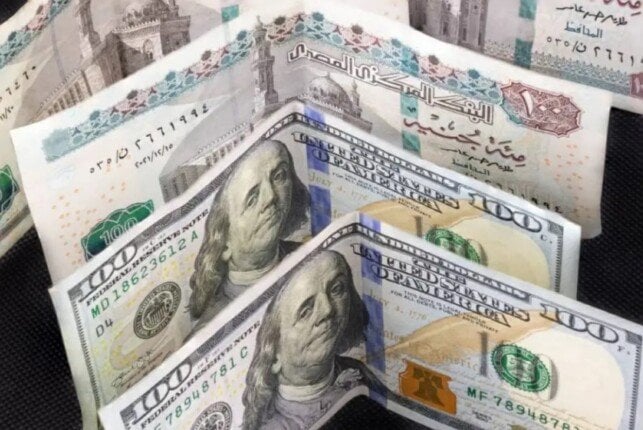 الدولار يستقر أدنى 50 جنيها في تعاملات اليوم الأحد