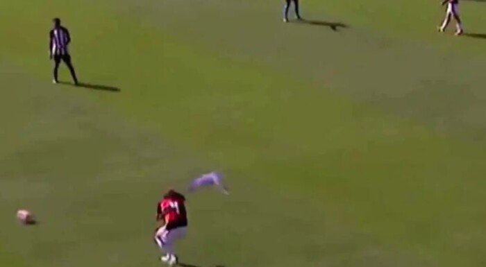 ببغاء يقتحم مباراة في البرازيل ويتسبب في توقفها مرتين «فيديو»