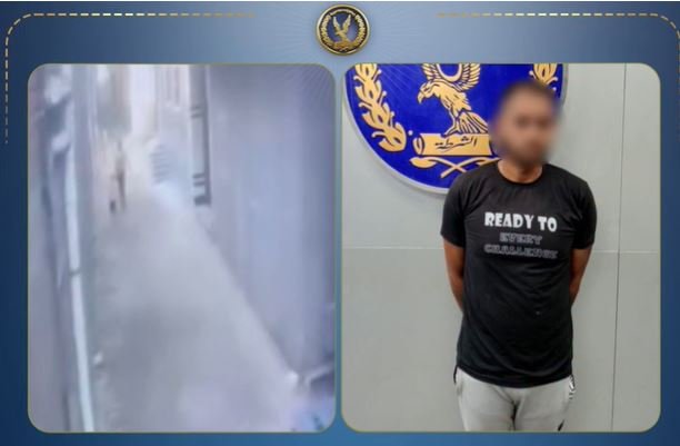 ضبط المتهم بالاعتداء على طفل وإلقائه أرضًا في الدقهلية.. تفاصيل الواقعة