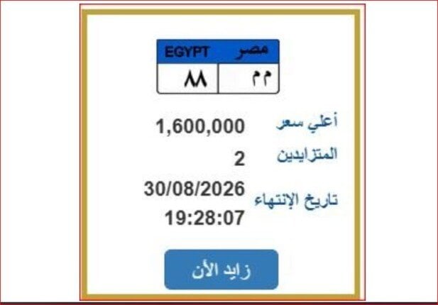 مزاد اللوحات المميزة.. «م م 88» تسجل مليونًا و600 ألف جنيه