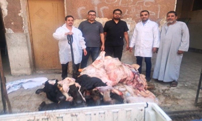 ضبط طن لحوم غير صالحة للاستهلاك الآدمي بسوق الهجارسة بالكوامل في سوهاج