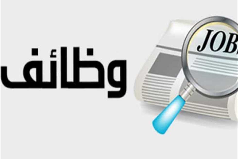 وظائف وزارة العدل 2026.. رابط الاستعلام عن موعد الامتحان الإلكتروني لـ 275 وظيفة