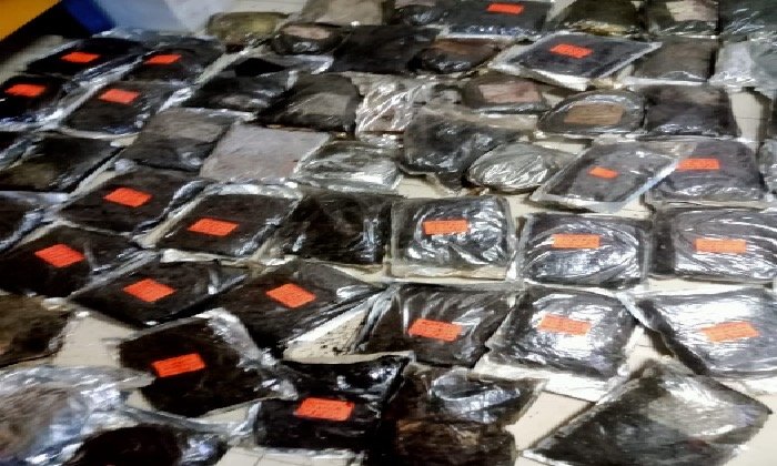ضبط 100 كيلو أعشاب منتهية الصلاحية داخل محل عطارة في قنا