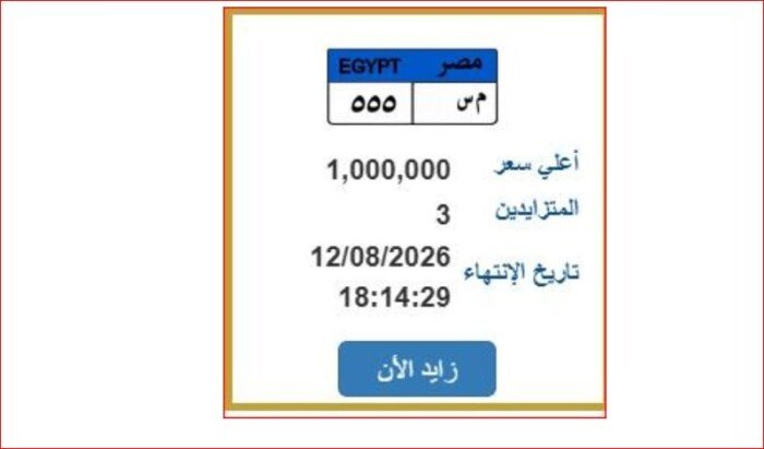 سعرها وصل مليون جنيه.. تفاصيل المزايدة على اللوحة المعدنية «م س 555»