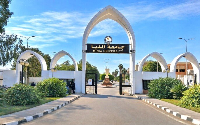 تدريب مجاني وشهادة مميزة.. غدًا آخر فرصة للتسجيل في برنامج «TOT»بجامعة المنيا