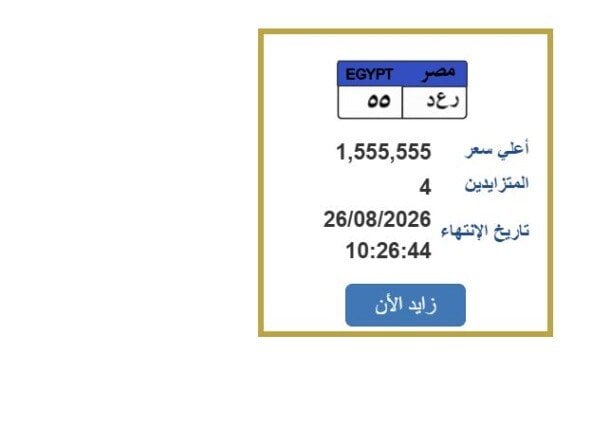 سعرها مليون و500 ألف جينه.. التزايد يشتعل على لوحة سيارة مميزة
