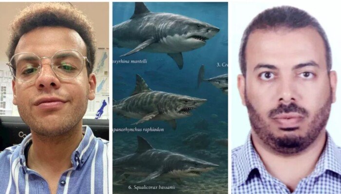 عمرها أكثر من 70 مليون عام.. اكتشاف «مقبرة لأسماك القرش» في صحراء مصر الغربية (صور)