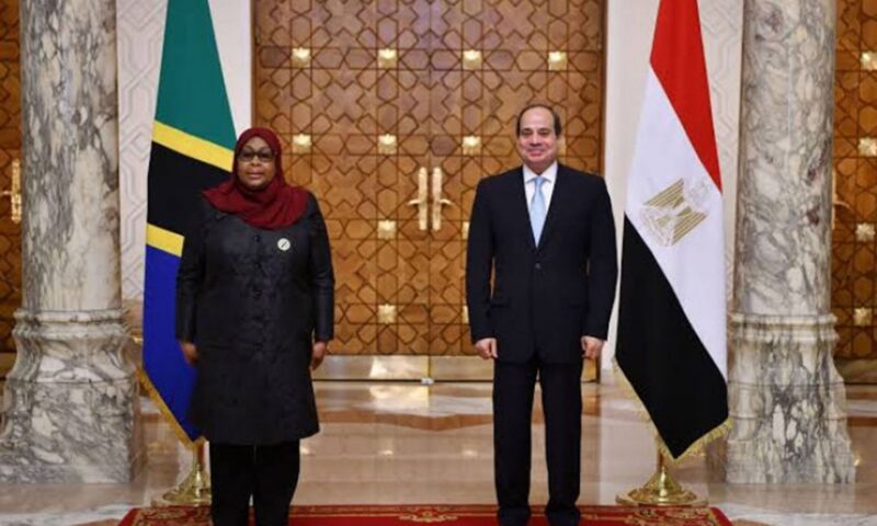رئيسة تنزانيا تشكر مصر على سد «جوليوس نيريري» وتدعو إلى اتحاد دول إفريقيا
