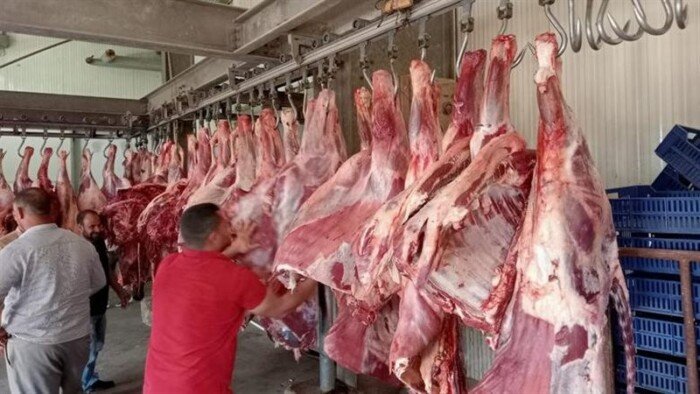 أسعار اللحوم اليوم السبت 22 أغسطس 2026.. الكندوز الصغير بـ 350 جنيهًا