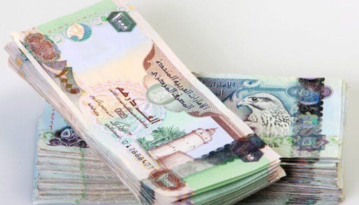 سعر الدرهم الإماراتي مقابل الجنيه المصري اليوم الخميس 13 أغسطس 2026