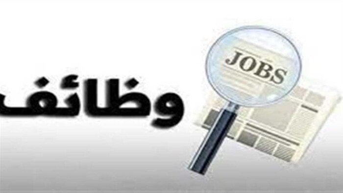 وظائف سائقي نقل ثقيل بالوزارة 2026.. تعرف على الشروط والمزايا