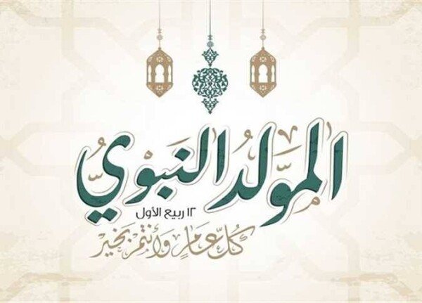 وفرة السكر وضبط الأسواق.. استعدادات مبكرة لاستقبال موسم المولد النبوي
