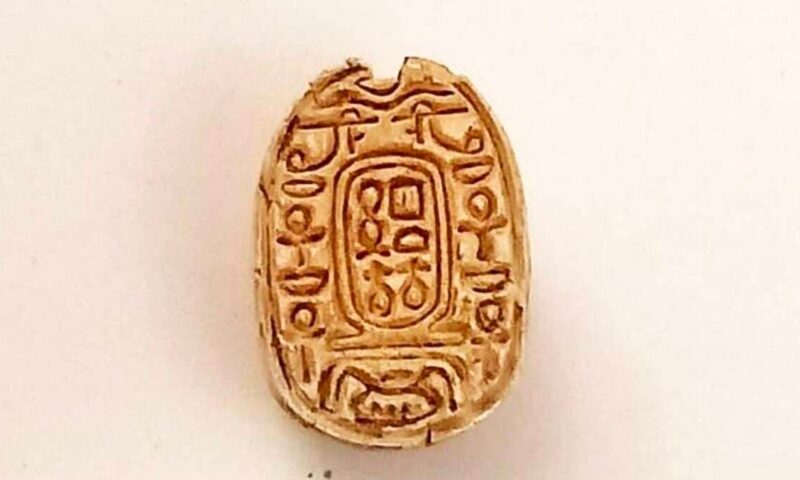 رحلة تمتد لآلاف السنين.. كشف أثري يوثق تاريخ توطين البشر في دلتا مصر