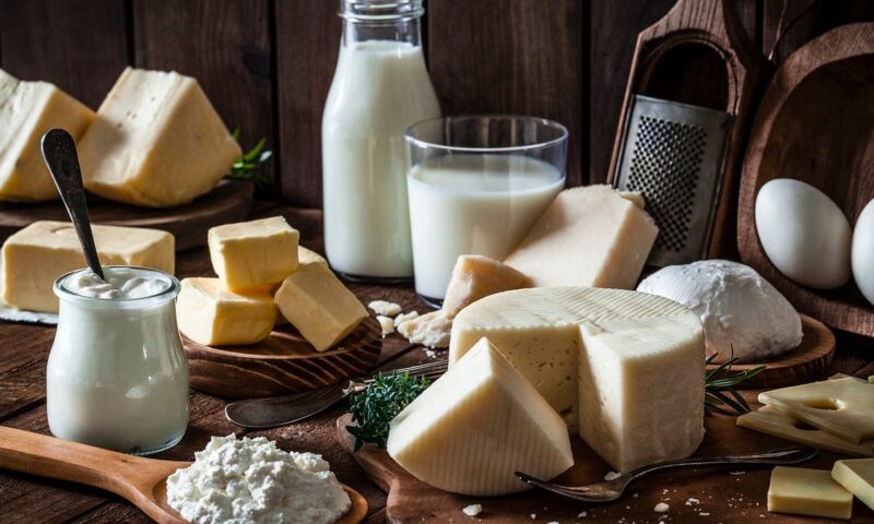 مفيدة لصحة الأمعاء.. بكتيريا تُضفي على الجبن مذاقه الرائع