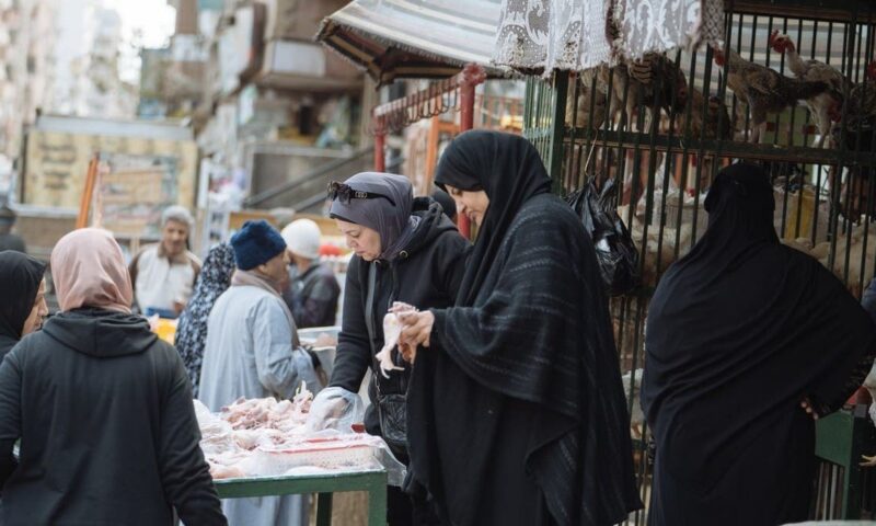 توقعات بتثبيت سعر الفائدة في مصر