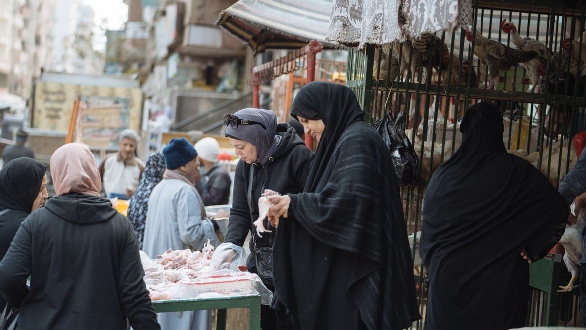 توقعات بتثبيت سعر الفائدة في مصر