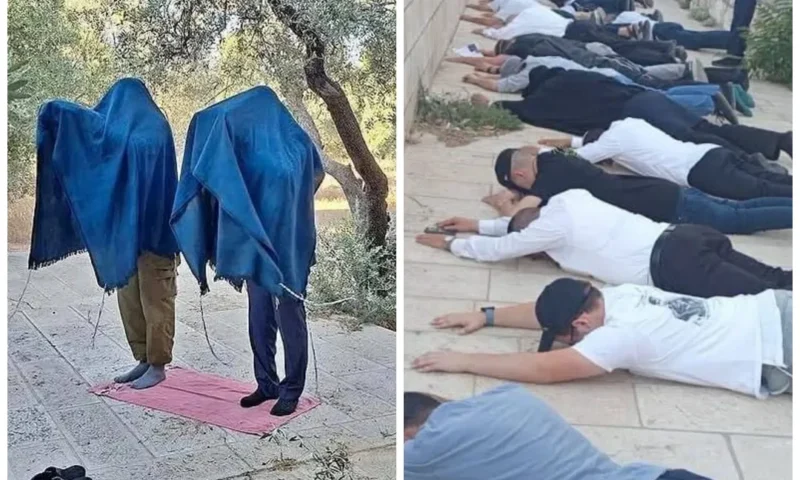 بقيادة يهودا غليك.. مئات المستوطنين يستبيحون الأقصى ويؤدون طقوسًا تلمودية