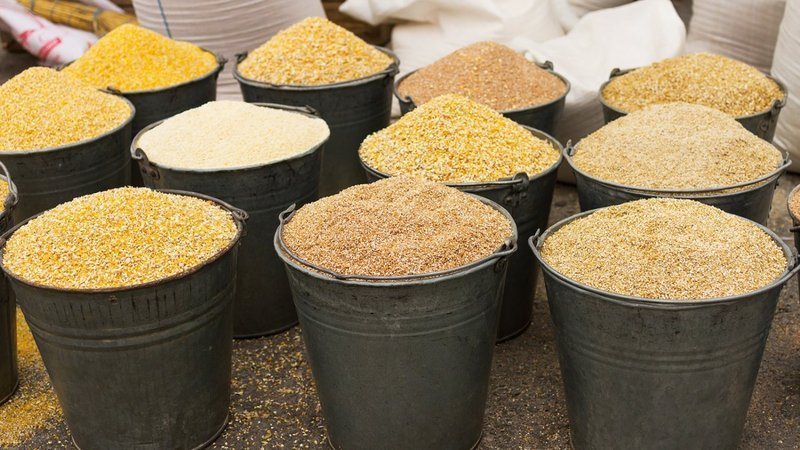 ارتفاع الذرة والصويا، أسعار الأعلاف والحبوب اليوم في الأسواق