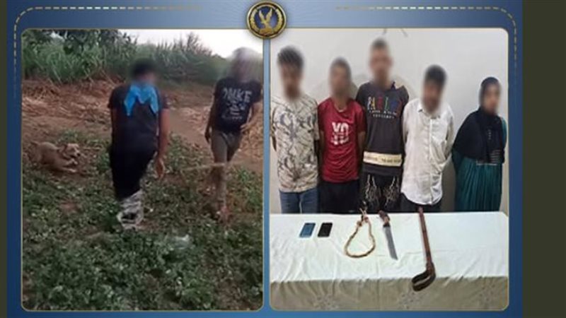 هددوه بكلب ينهش جسده وساوموا أهله، قصة ما حدث لشاب على يد 5 أشخاص بينهم سيدة داخل أرض زراعية بالغربية