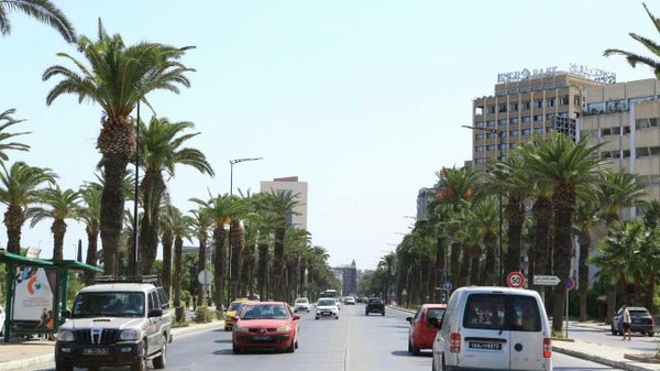 “الفراعنة” يهزمون أسود الأطلس في بطولة أفريقيا لرجال الكرة الطائرة بتونس