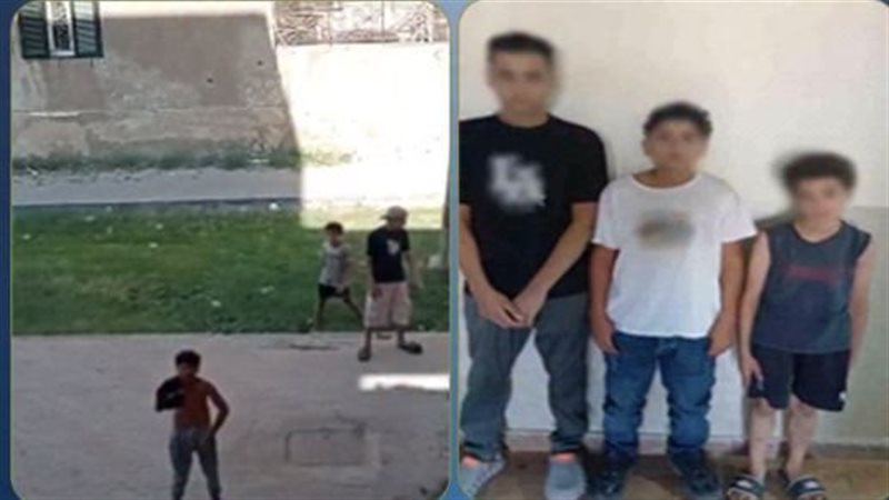 حجارة وشتائم، ضبط 3 طلاب تعدوا على سيدة وأتلفوا شرفة منزلها بأكتوبر (فيديو)