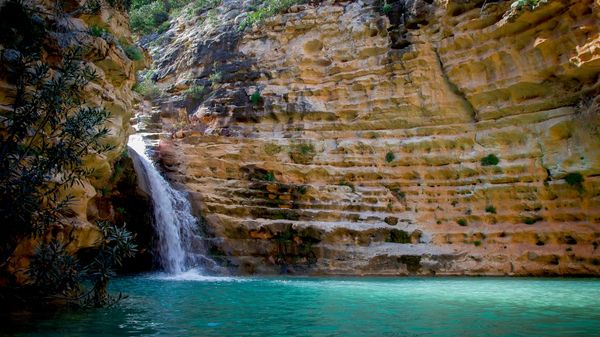 من الرمال السوداء إلى ثلوج الجبل الأخضر… شاب ليبي يطارد جمال بلاده بعدسة الكاميرا