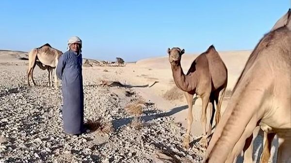 المطيري… حكاية صائد الغزلان في صعيد مصر