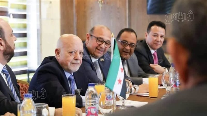 محمد سعدة: مصر ستقدم كافة خبراتها وإمكانياتها إلى سوريا