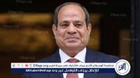 السيسي يحذر من استخدام مواقع التواصل للإضرار بالدولة