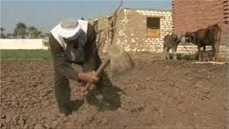 نقيب الفلاحين يكشف «سحابة سوداء جديدة» تحاصر المزارعين