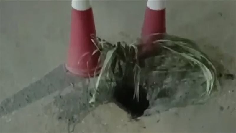 هبوط أرضي مفاجئ بطريق السنطة – طنطا وتحذيرات من توسُّعه (صور)