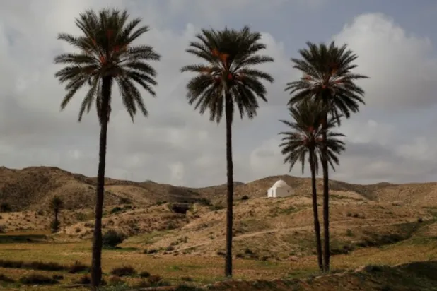 تونس: صيف 2026 الأشد حرارة منذ عام 1950