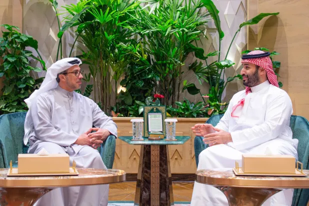 ولي العهد السعودي ونائب الرئيس الإماراتي يستعرضان التطورات في المنطقة