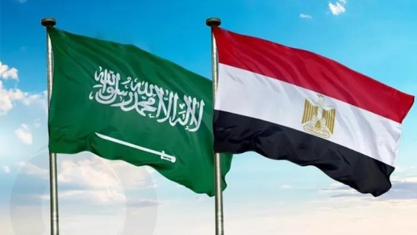 وزير الخارجية: مصر تقف إلى جانب السعودية في مواجهة أي تهديد لأمنها وسيادتها