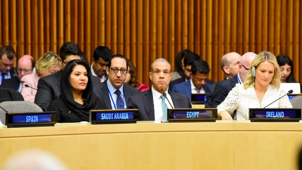 وزير الخارجية: ضرورة ترجمة الالتزام بحل الدولتين إلى خطوات عملية وتجسيد الدولة الفلسطينية