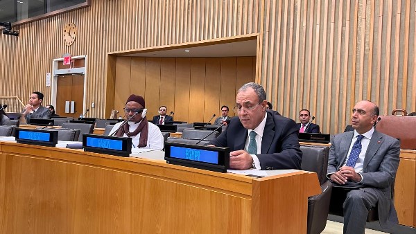 وزير الخارجية: القضية الفلسطينية تظل القضية المركزية للعالم الإسلامي