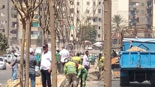 رئيس جهاز شؤون البيئة الأسبق: مفتاح نجاح ملف التشجير يبدأ من تخطيط طويل المدى