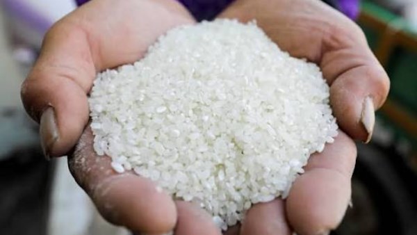 مفاجأة في سوق الأرز.. الإنتاج المحلي يتجاوز الاستهلاك بفائض يكفي 3 أشهر
