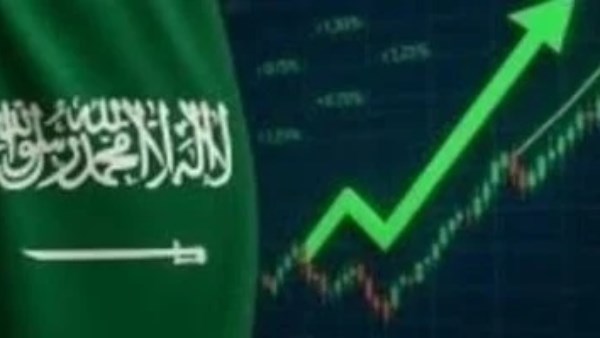 مؤشر سوق الأسهم السعودية يغلق منخفضًا بمقدار 67.69 نقطة