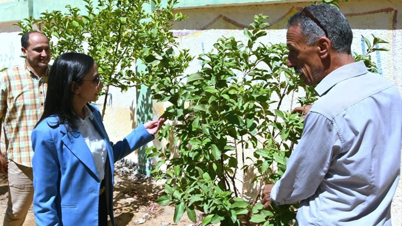 محافظ البحيرة تتفقد أعمال المبادرة الرئاسية “100 مليون شجرة” بمدرسة سيدي غازي