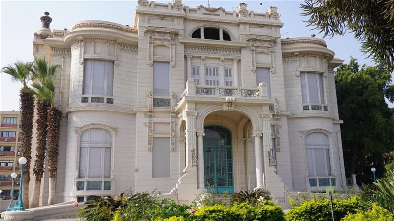 جامعة عين شمس تكشف حقيقة قطع الأشجار بكلية التجارة