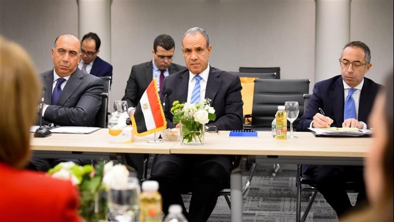 تفاصيل لقاء وزير الخارجية مع مرشحة كوستاريكا لمنصب سكرتير عام الأمم المتحدة