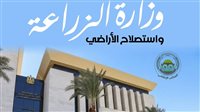 «الزراعة»: سحب أكثر من 9 آلاف عينة ضمن برامج التقصي النشط ورفع الجاهزية الصحية للثروة الداجنة