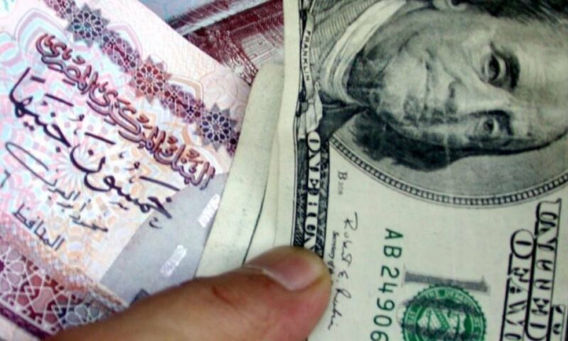 بعد قرار البنك المركزي.. سعر الدولار اليوم الجمعة 25-9-2026