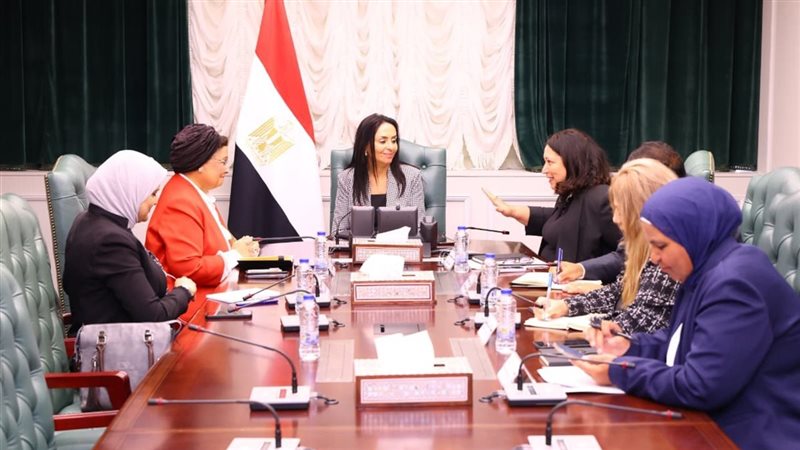 التضامن والصحة تبحثان تعزيز التعاون في مراكز تنمية وصحة الأسرة المصرية