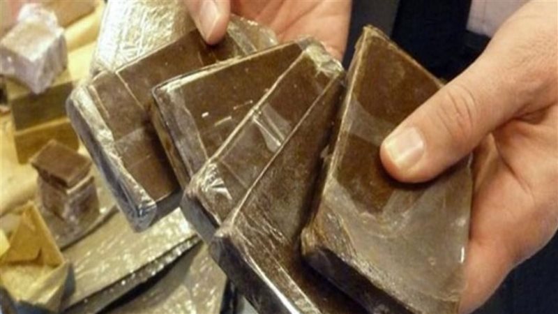 السجن 6 سنوات لمتهم بالاتجار فى الحشيش بالجيزة
